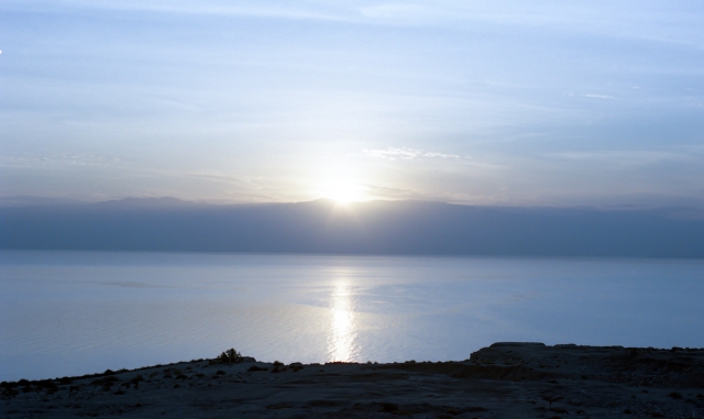 デットシーウォーターについて